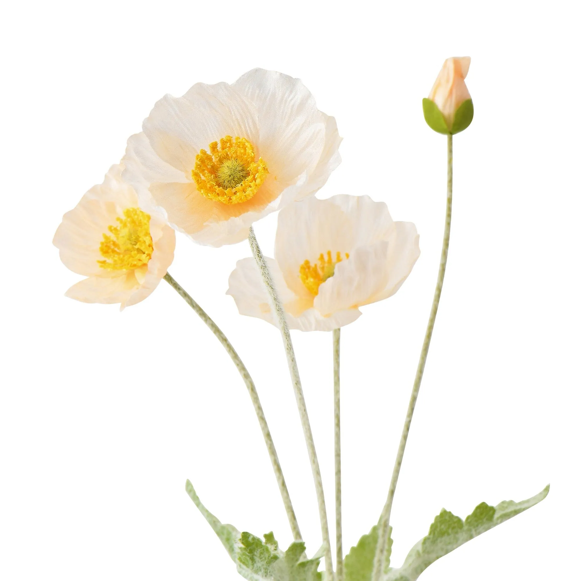 Art Flower Poppy S White