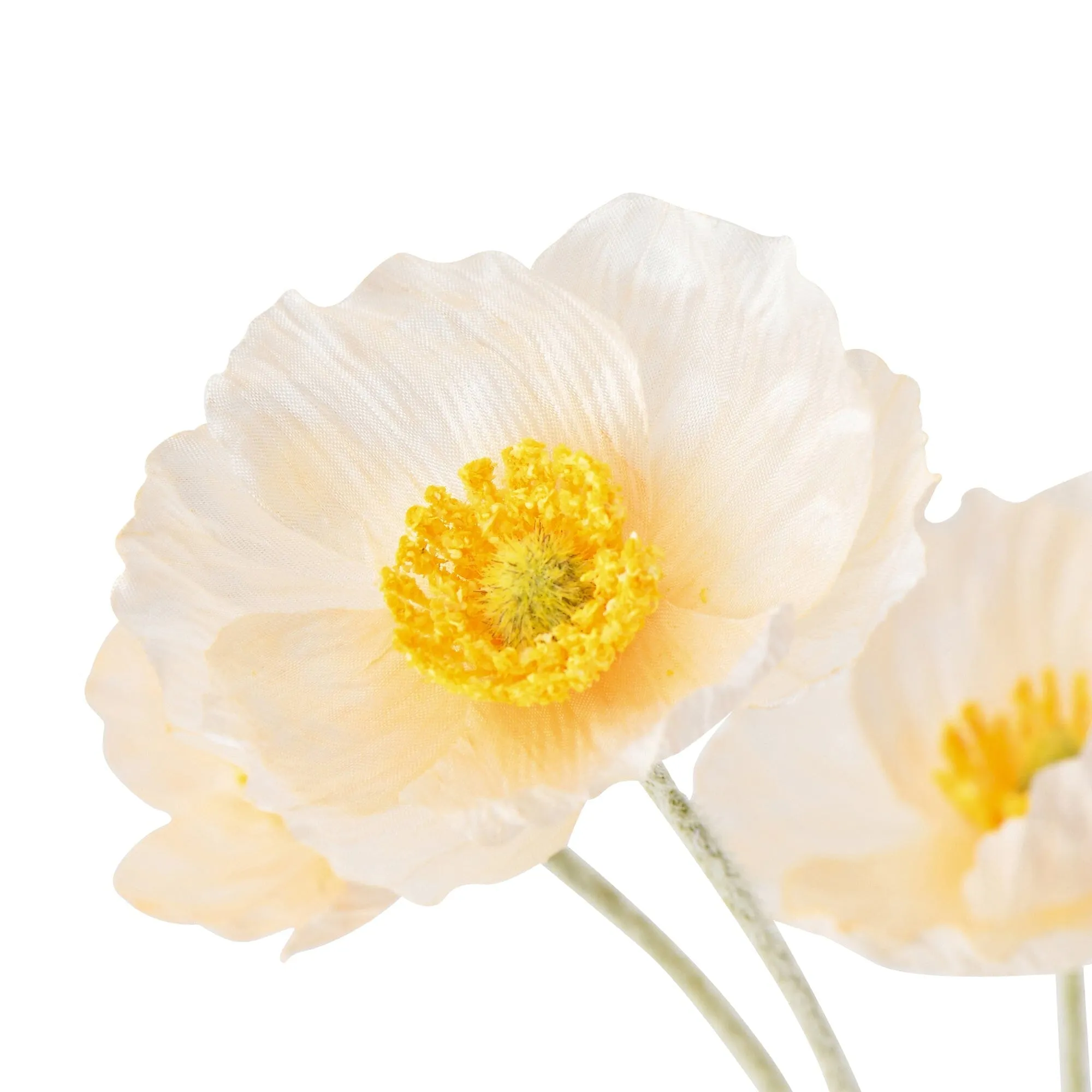 Art Flower Poppy S White