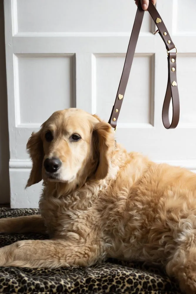 Dark Brown Leather Dog Lead With Hearts