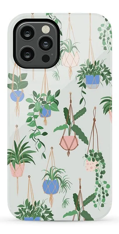 Hanging Around | Potted Plants Floral Case