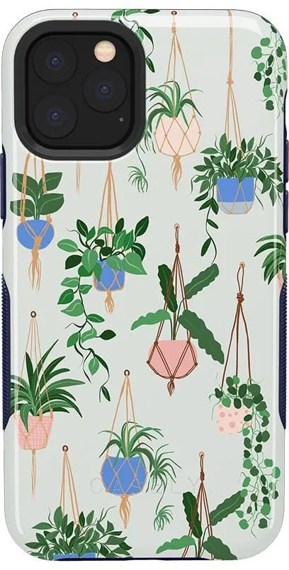 Hanging Around | Potted Plants Floral Case