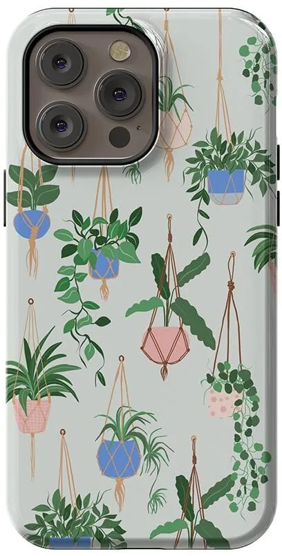 Hanging Around | Potted Plants Floral Case