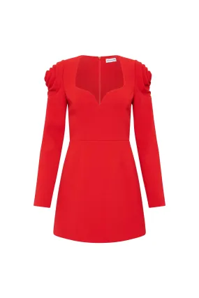 Karina Long Sleeve Mini Dress